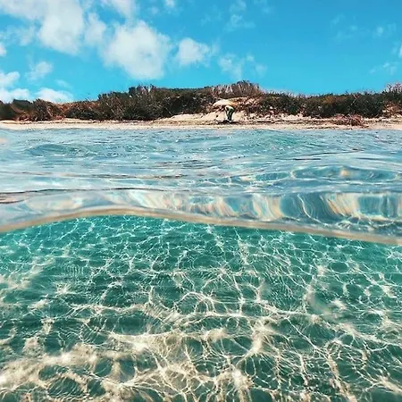 Calliope Дом отдыха *