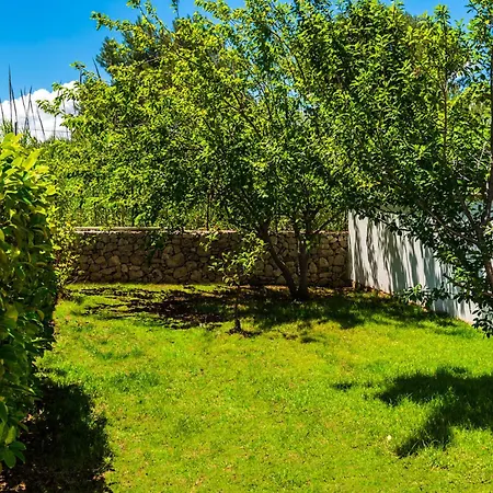 Calliope Дом отдыха